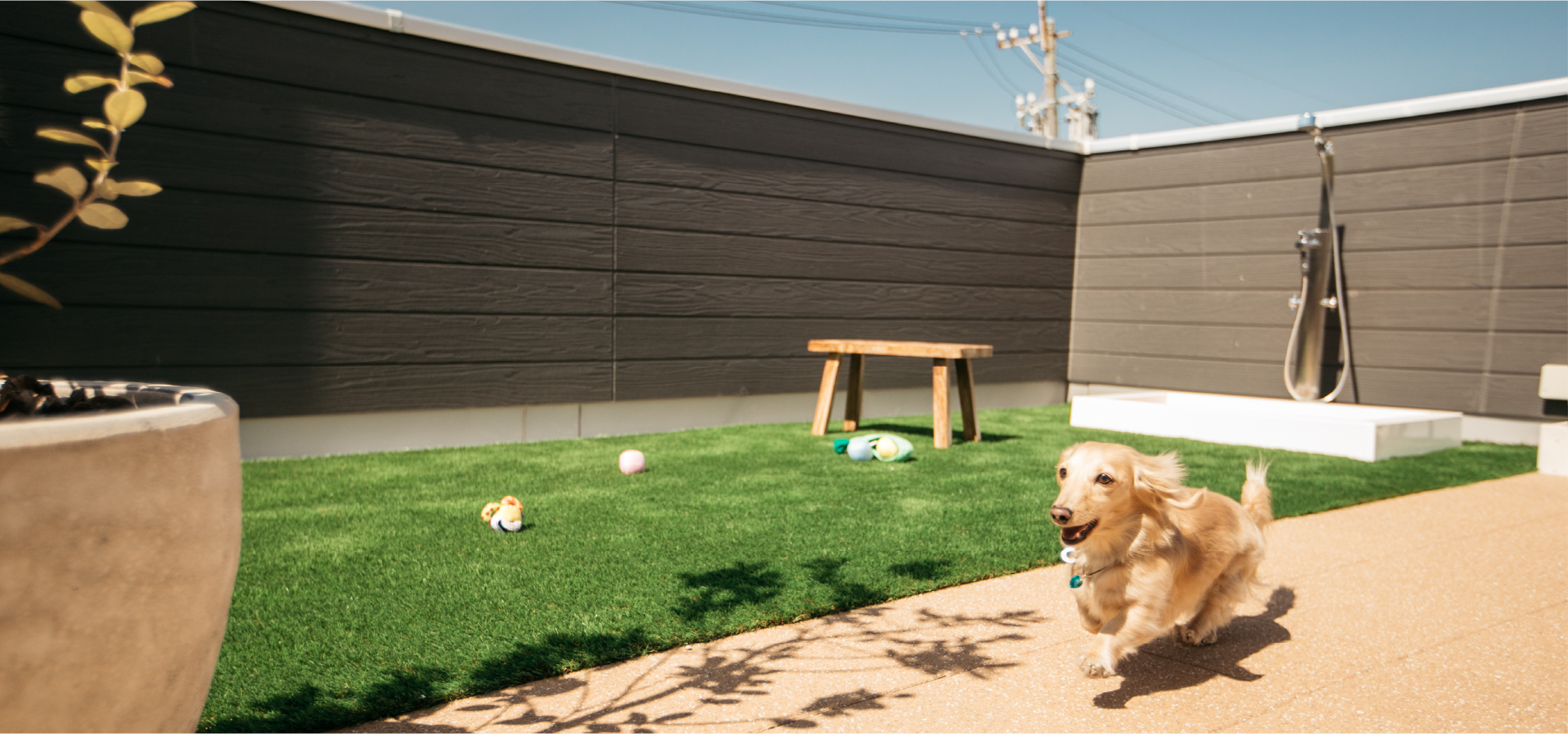 屋上プラン｜Dog Garden[ドッグガーデン]