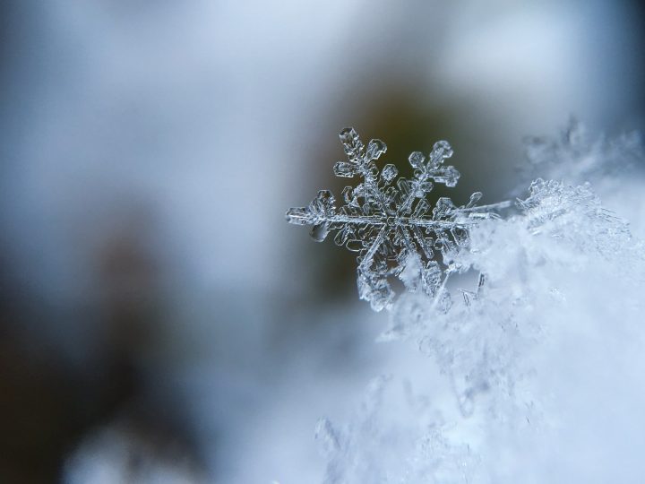 今年の冬は平年より寒くなるみたいです⛄