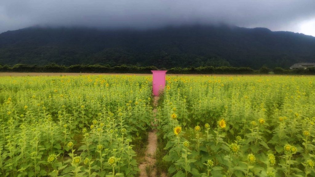 防災について考える in高知