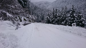 小田スキー 001
