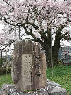 1459995592505